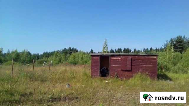 Участок ИЖС 12 сот. на продажу в Толмачево Ленинградской области Толмачево - изображение 1