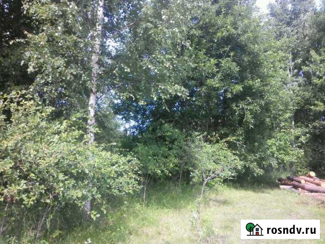 Участок СНТ, ДНП 15 сот. на продажу в Гдове Гдов - изображение 1