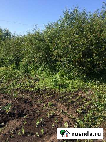 Участок СНТ, ДНП 4 сот. на продажу в Нижнекамске Нижнекамск - изображение 1