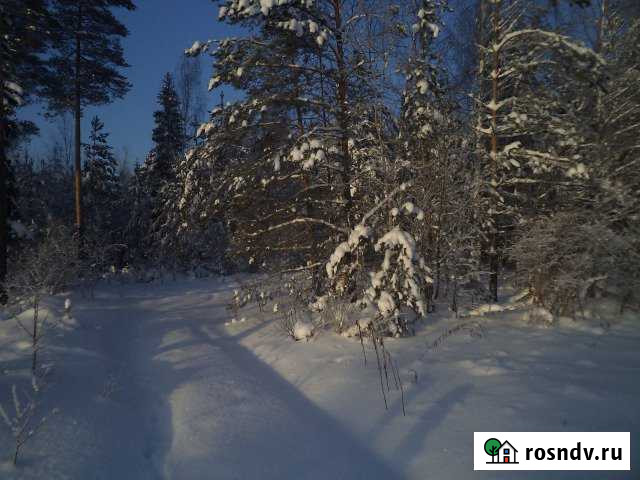 Участок СНТ, ДНП 5 сот. на продажу в Сосновке Руспублики Чувашия Сосновка - изображение 1