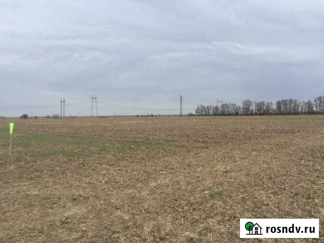 Участок СНТ, ДНП 244 сот. на продажу в Абинске Абинск - изображение 1