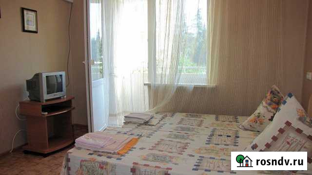 1-комнатная квартира, 36 м², 2/5 эт. в аренду посуточно в Новом Свете Республики Крым Новый Свет - изображение 1