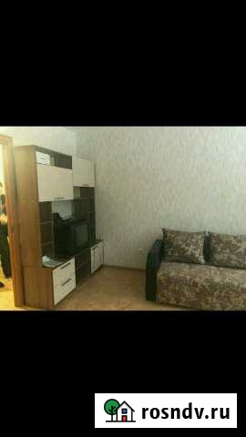 Квартира-студия, 30 м², 2/5 эт. в аренду на длительный срок в Петрозаводске Петрозаводск - изображение 1