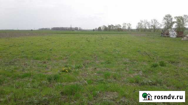 Участок ИЖС 15 сот. на продажу в Лисках Лиски - изображение 1