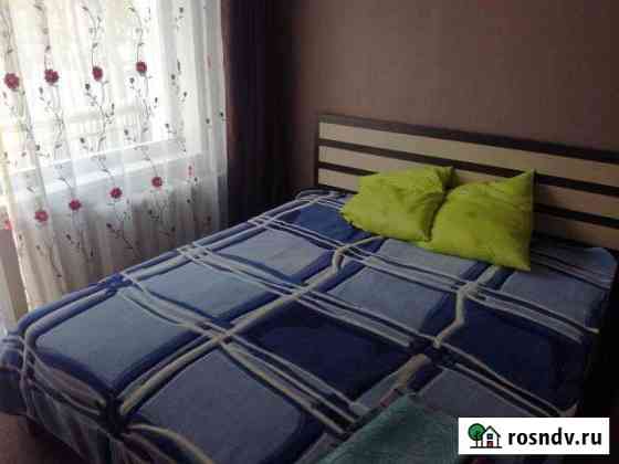 1-комнатная квартира, 46 м², 3/5 эт. в аренду посуточно в Зеленогорске Зеленогорск