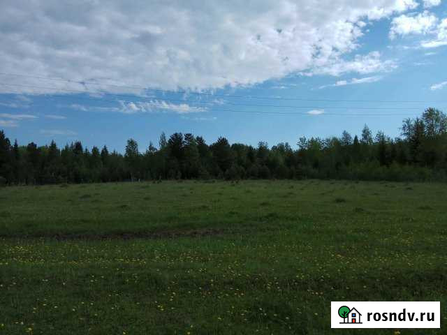 Участок ИЖС 10 сот. на продажу в Богашево Богашево - изображение 1