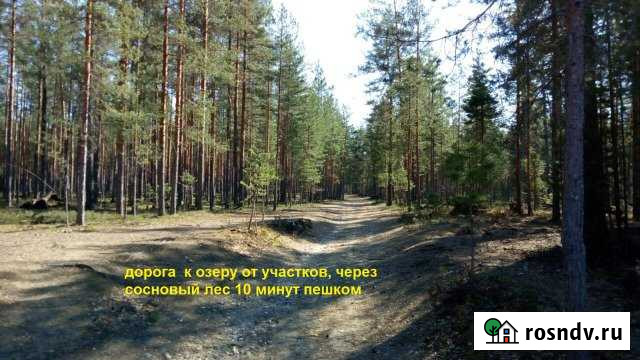 Участок ИЖС 14 сот. на продажу в Саперном Саперное - изображение 1