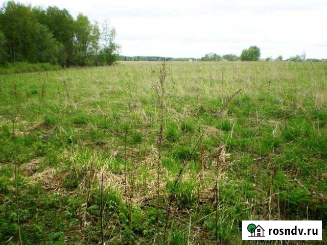 Участок ИЖС 20 сот. на продажу в Ярково Тюменской области Ярково - изображение 1