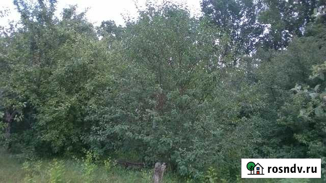 Участок ИЖС 20 сот. на продажу в Мичуринске Мичуринск - изображение 1