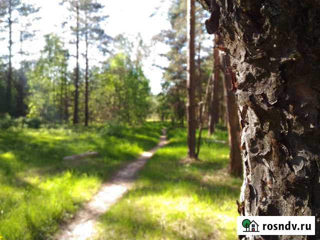 Участок СНТ, ДНП 12 сот. на продажу в Суроватихе Суроватиха - изображение 1