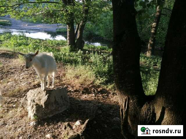 Участок СНТ, ДНП 360 сот. на продажу в Бахчисарае Бахчисарай - изображение 1