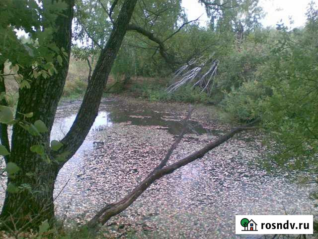 Участок СНТ, ДНП 1900 сот. на продажу в Задонске Задонск - изображение 1