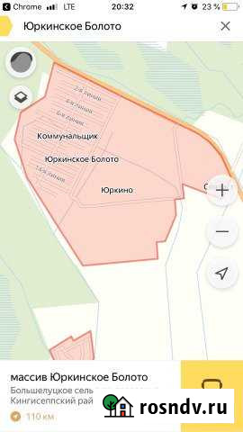 Участок СНТ, ДНП 6 сот. на продажу в Кингисеппе Кингисепп - изображение 1