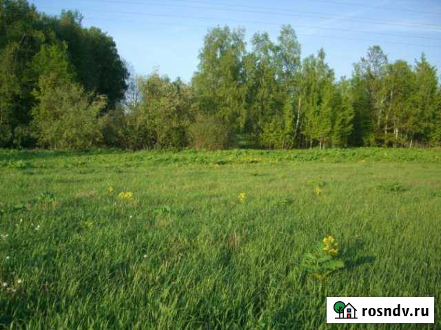 Участок ИЖС 20 сот. на продажу в Тучково Тучково - изображение 1