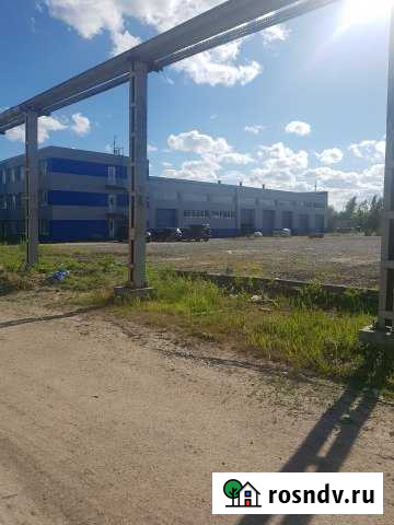 Жд ветка,Офисно-складское помещение1730 кв.м.,3га Мга - изображение 1