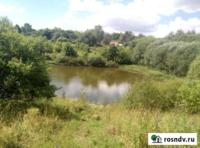 Участок ИЖС 300 сот. на продажу в Волово Тульской области Волово - изображение 1