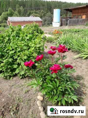 Дом 23 м² на участке 10 сот. на продажу в Саянске Саянск - изображение 1