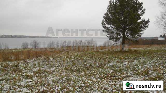 Участок ИЖС 22 сот. на продажу в Шексне Шексна - изображение 1