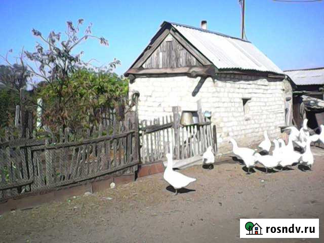 Дом 57 м² на участке 25 сот. на продажу в Варне Варна - изображение 1