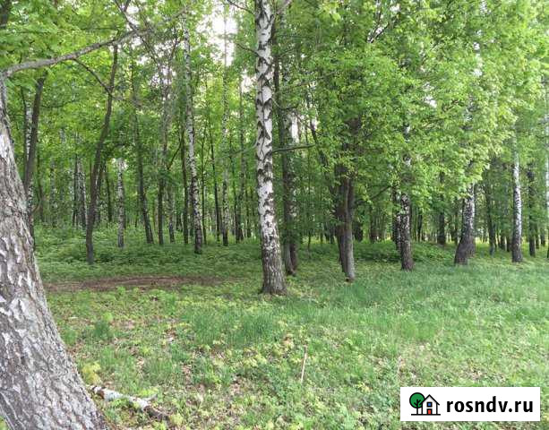 Участок ИЖС 18 сот. на продажу в Богородицке Богородицк - изображение 1