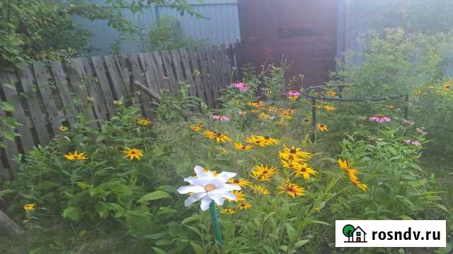 Дача 20 м² на участке 10 сот. на продажу в Новокуйбышевске Новокуйбышевск - изображение 1