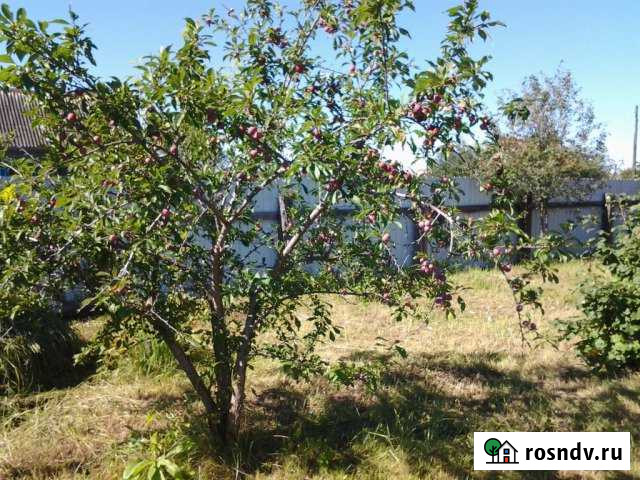 Дача 20 м² на участке 10 сот. на продажу в Шимановске Шимановск - изображение 1