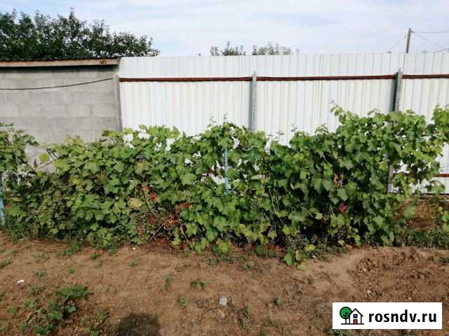 Дача 20 м² на участке 6 сот. на продажу в Городище Волгоградской области Городище - изображение 1