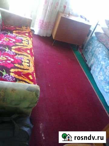 1-комнатная квартира, 29 м², 1/2 эт. на продажу в Благовещенке Благовещенка - изображение 1