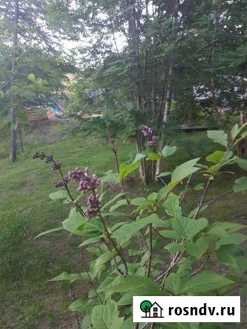 Дом 321 м² на участке 42 сот. на продажу в Магадане Магадан - изображение 1