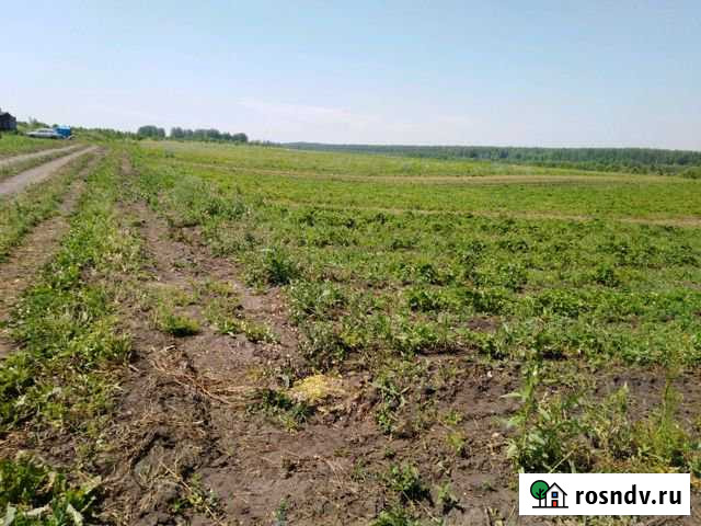 Участок промназначения 16000 сот. на продажу в Шушенском Шушенское - изображение 1