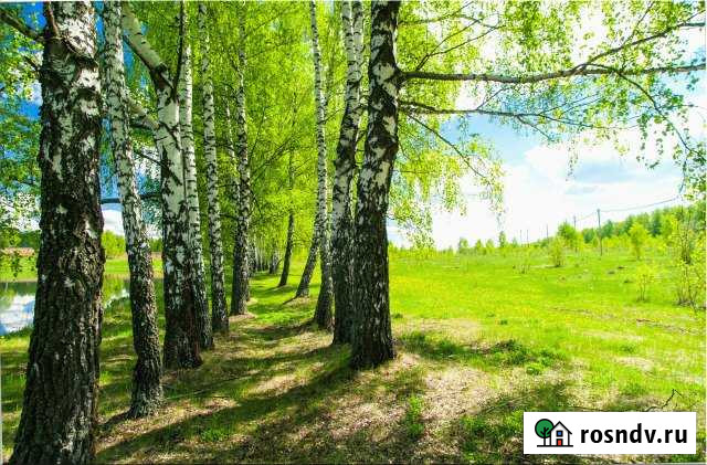 Участок ИЖС 11 сот. на продажу в Пролетарском Московской области Пролетарский - изображение 1