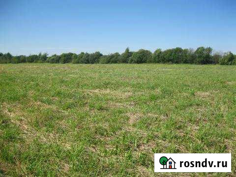 Участок СНТ, ДНП 1680 сот. в аренду в Туме Тума - изображение 1