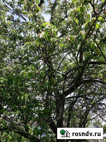 Участок СНТ, ДНП 6 сот. на продажу в Зарайске Зарайск - изображение 1