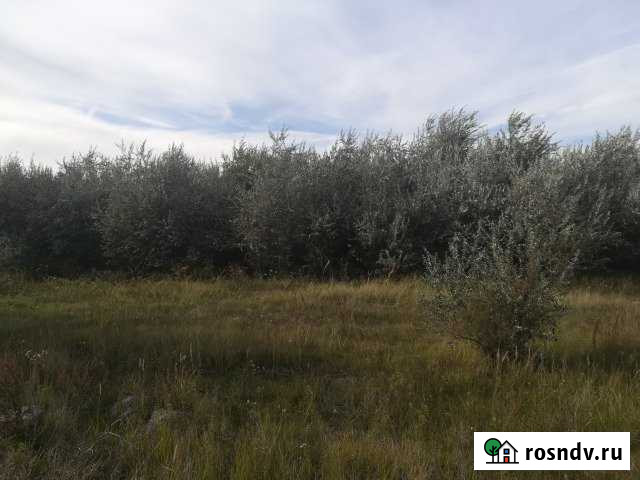 Участок ИЖС 10 сот. на продажу в Кинеле Кинель - изображение 1