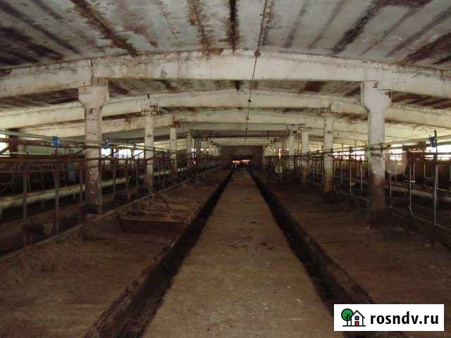 Участок СНТ, ДНП 19 сот. на продажу в Сычево Сычево - изображение 1