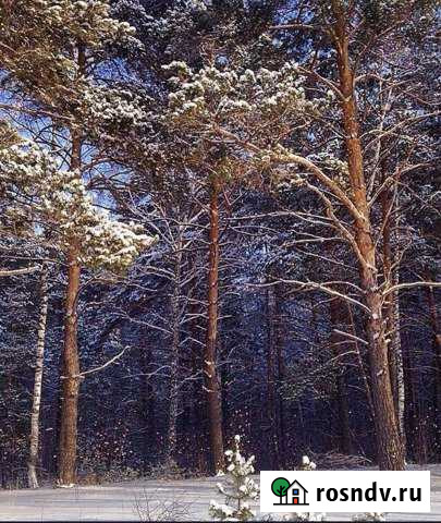 Участок СНТ, ДНП 17 сот. на продажу в Кудряшовском Кудряшовский - изображение 1