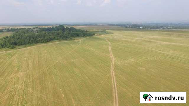 Участок СНТ, ДНП 1350 сот. на продажу в Константиновском Ярославской области Константиновский - изображение 1