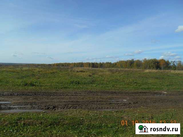 Участок ИЖС 12 сот. на продажу в Алексине Алексин - изображение 1