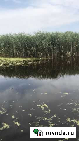 Дом 50 м² на участке 37 сот. на продажу в Бехтеевке Бехтеевка - изображение 1