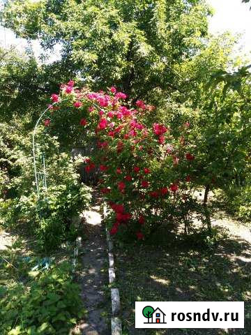 Дача 20 м² на участке 8 сот. на продажу в Белгороде Белгород - изображение 1