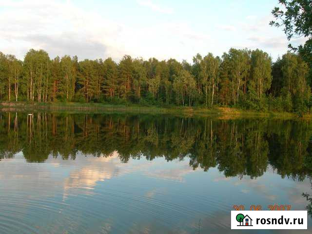 Участок СНТ, ДНП 8 сот. на продажу в Электрогорске Электрогорск - изображение 1