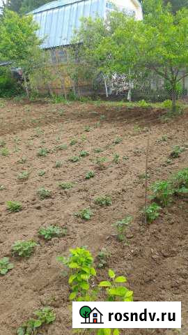 Дача 27 м² на участке 4 сот. на продажу в Чебоксарах Чебоксары - изображение 1