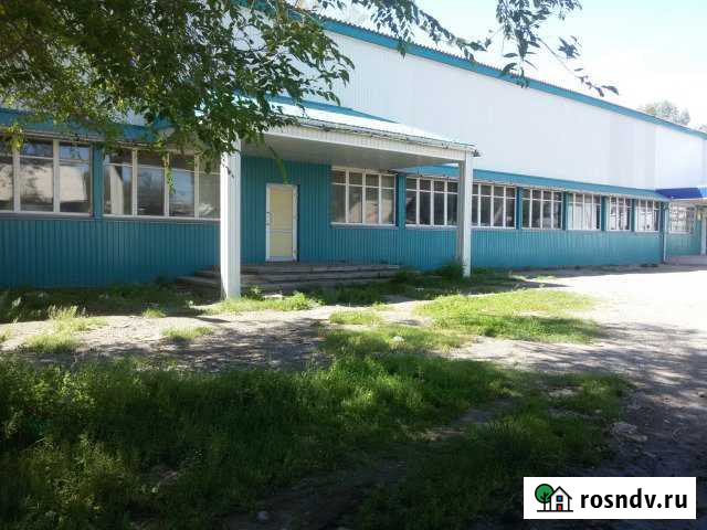 Торговое помещение, 600 кв.м. Бельтирское - изображение 1