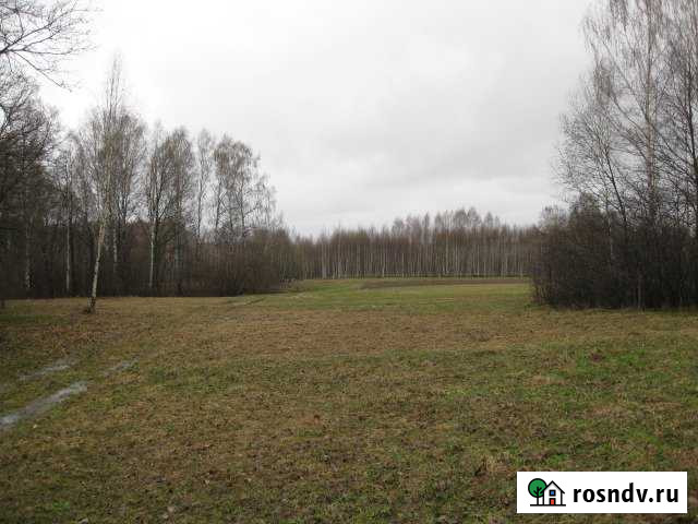 Участок СНТ, ДНП 653 сот. на продажу в Дзержинске Дзержинск - изображение 1