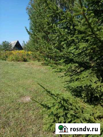 Дача 30 м² на участке 12 сот. на продажу в Ревякино Ревякино - изображение 1