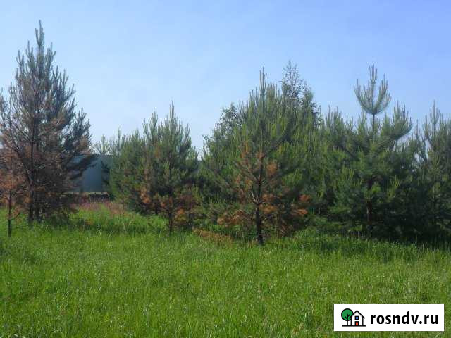 Участок СНТ, ДНП 22 сот. на продажу в Речицах Речицы - изображение 1