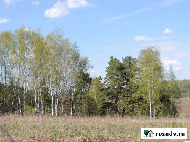 Участок ИЖС 12 сот. на продажу в Пущино Пущино - изображение 1