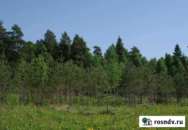 Участок СНТ, ДНП 18 сот. на продажу в Пущино Пущино - изображение 1