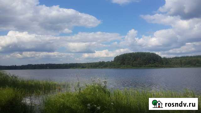 Участок ИЖС 24 сот. на продажу в Гдове Гдов - изображение 1