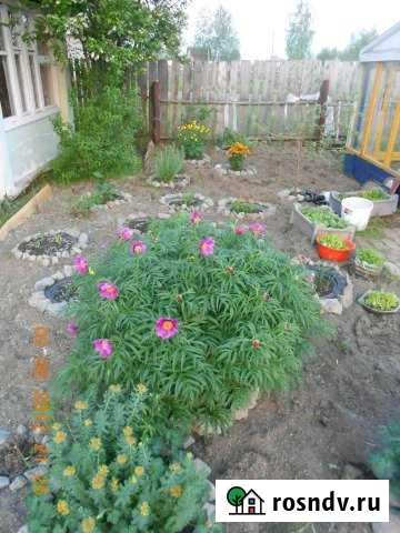 Дача 45 м² на участке 10 сот. на продажу в Нефтеюганске Нефтеюганск - изображение 1